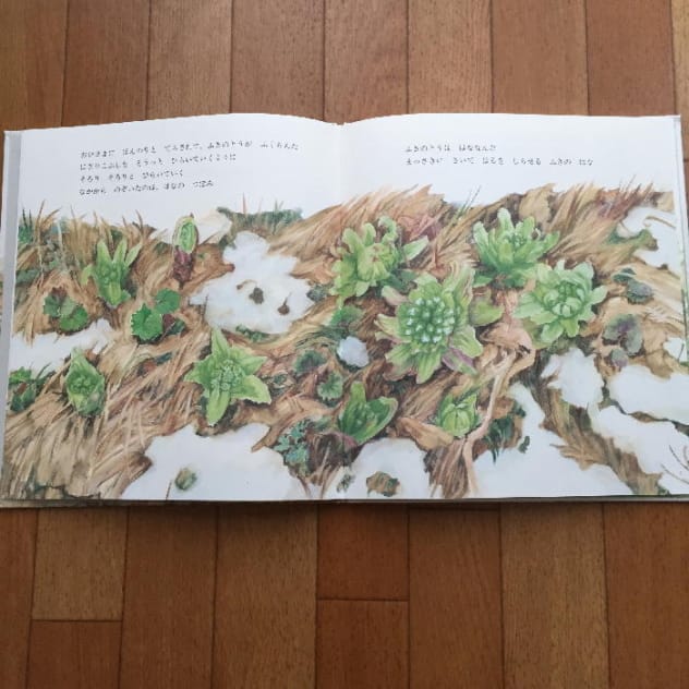 かきくけコラム :「五週目のほんばこ」1 | てくてくひめじ